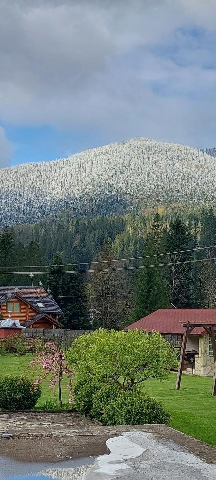 Guesthouse Kolo Druziv Tatariv Exteriér fotografie