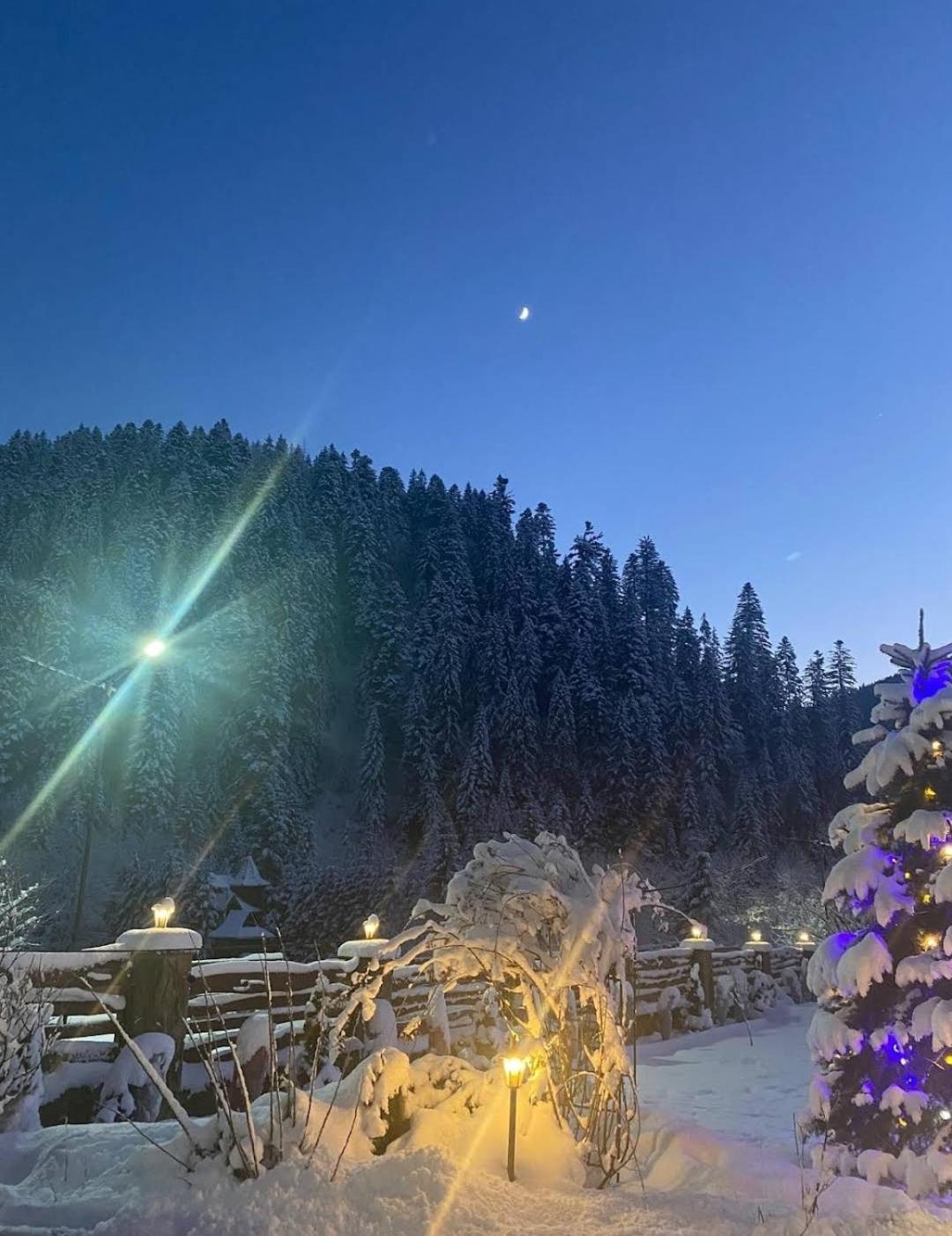 Guesthouse Kolo Druziv Tatariv Exteriér fotografie