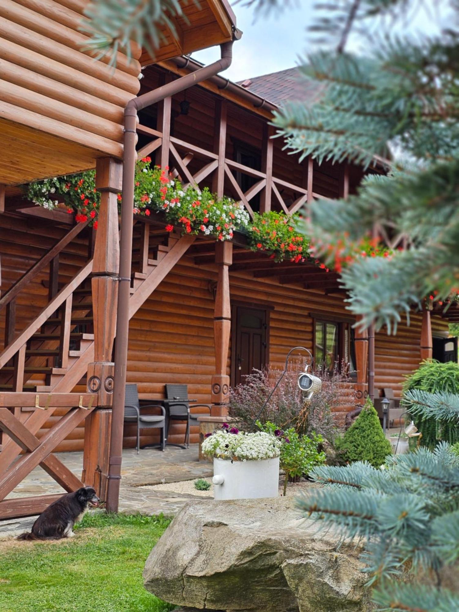 Guesthouse Kolo Druziv Tatariv Exteriér fotografie